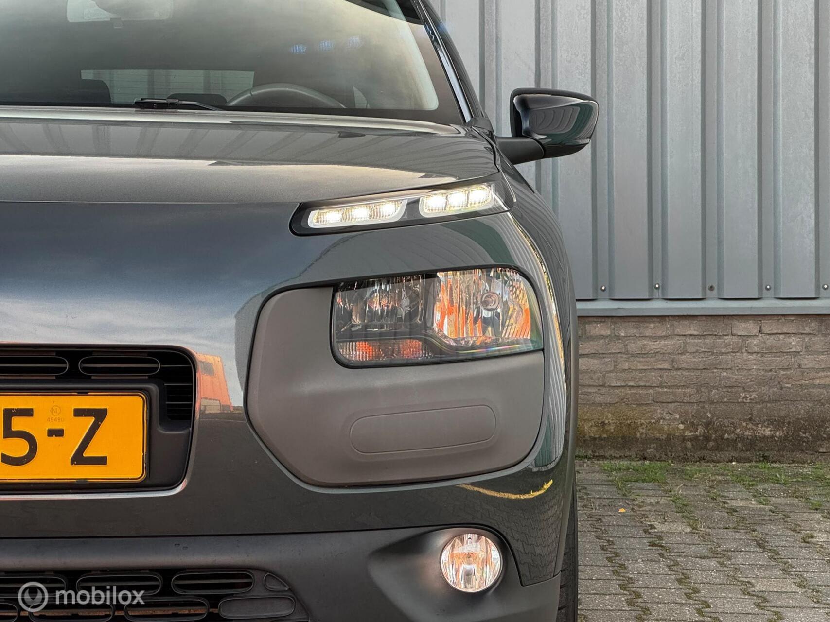Foto van Citroen C4 Cactus