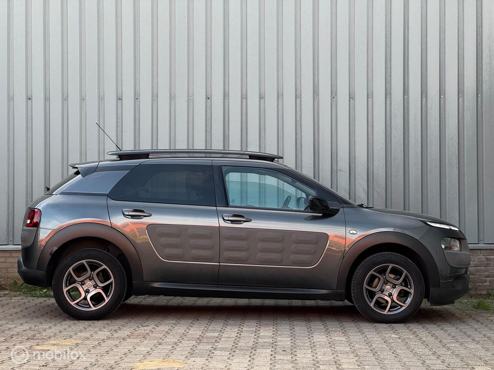 Foto van Citroen C4 Cactus