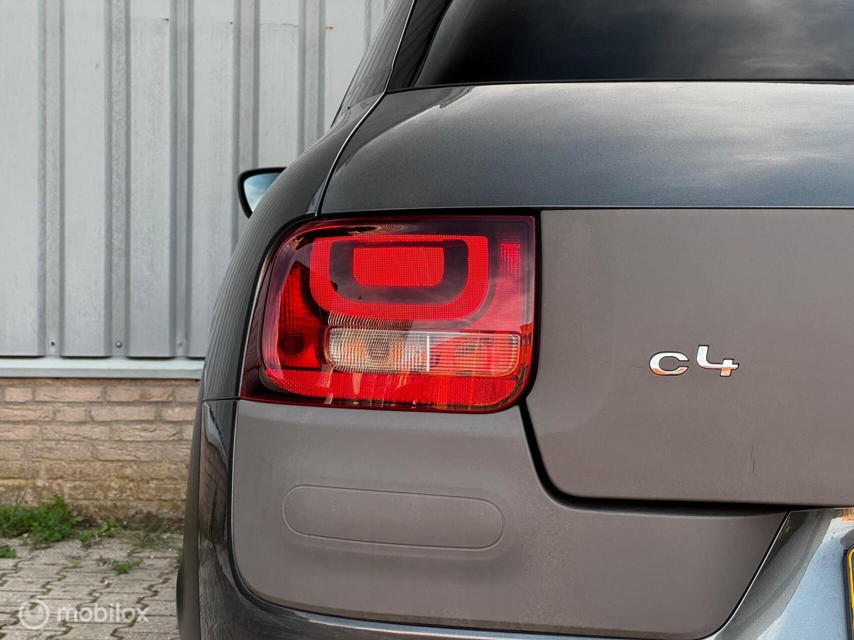 Foto van Citroen C4 Cactus