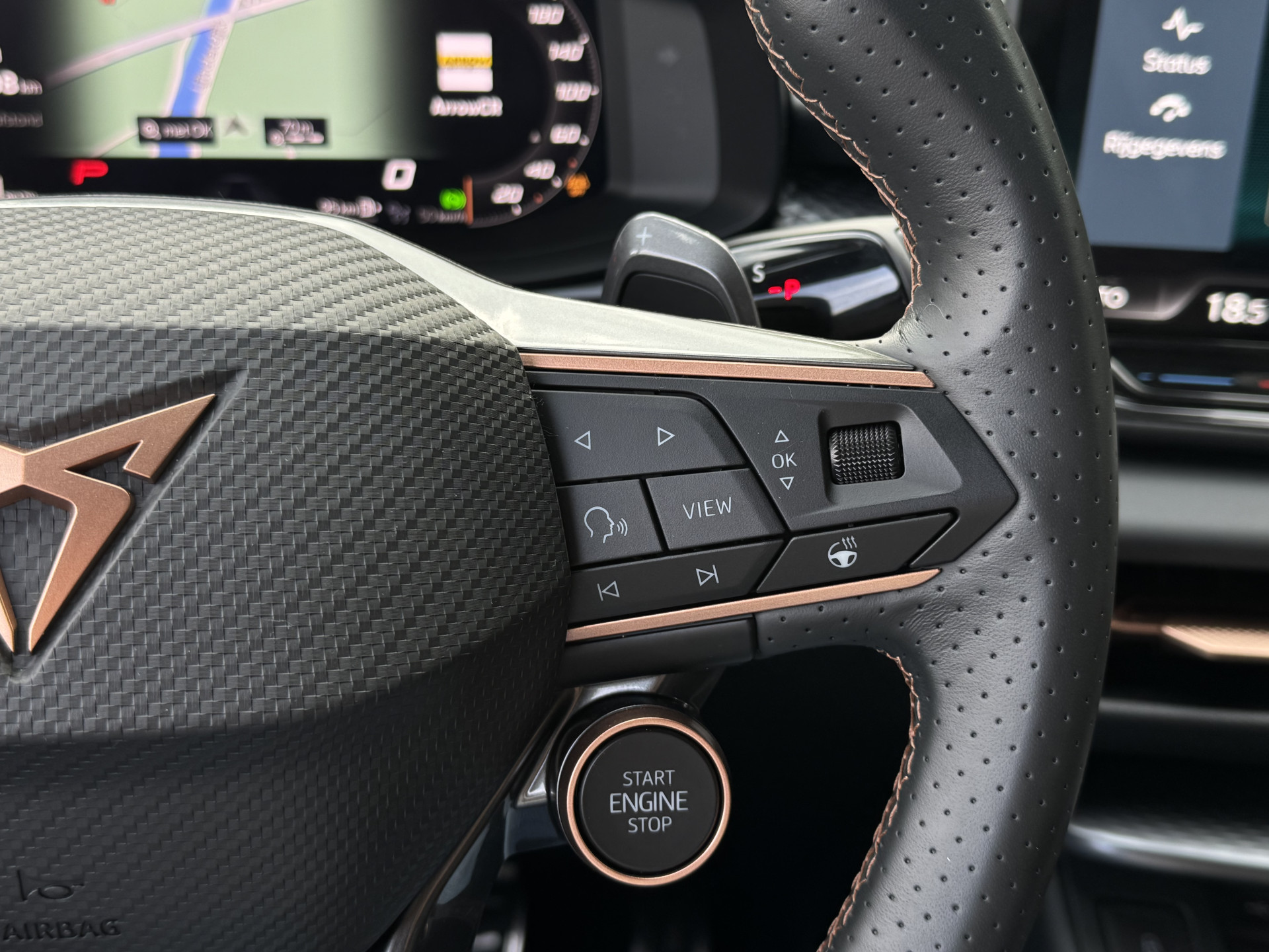 Foto van Cupra Terramar
