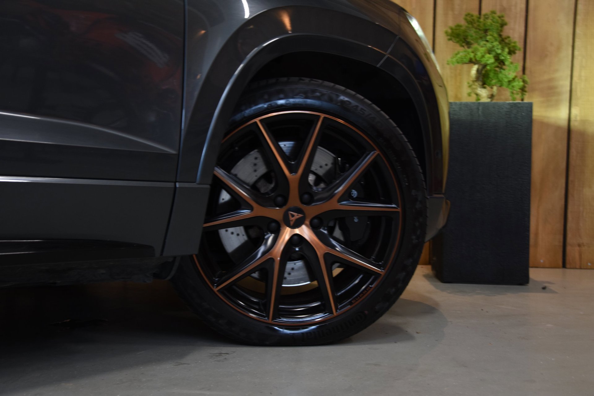 Foto van Cupra Ateca