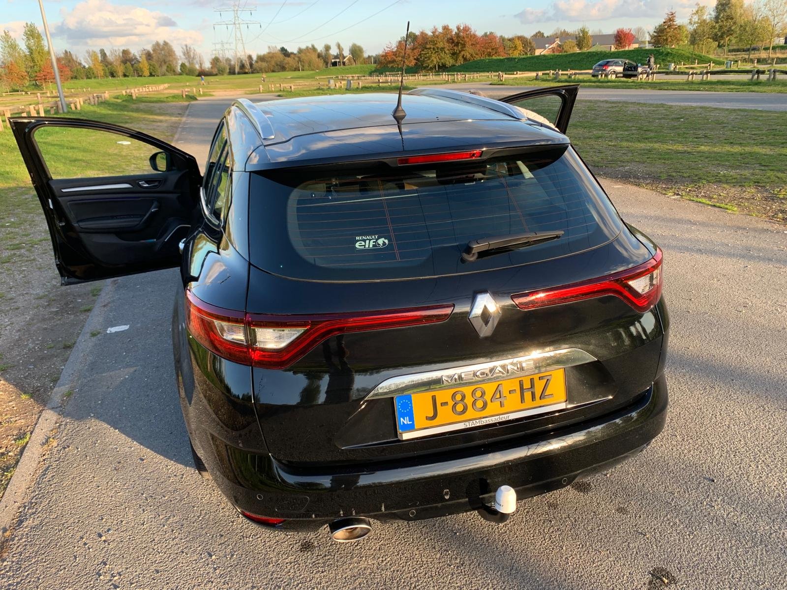 Inspectiefoto van Renault Mégane Estate