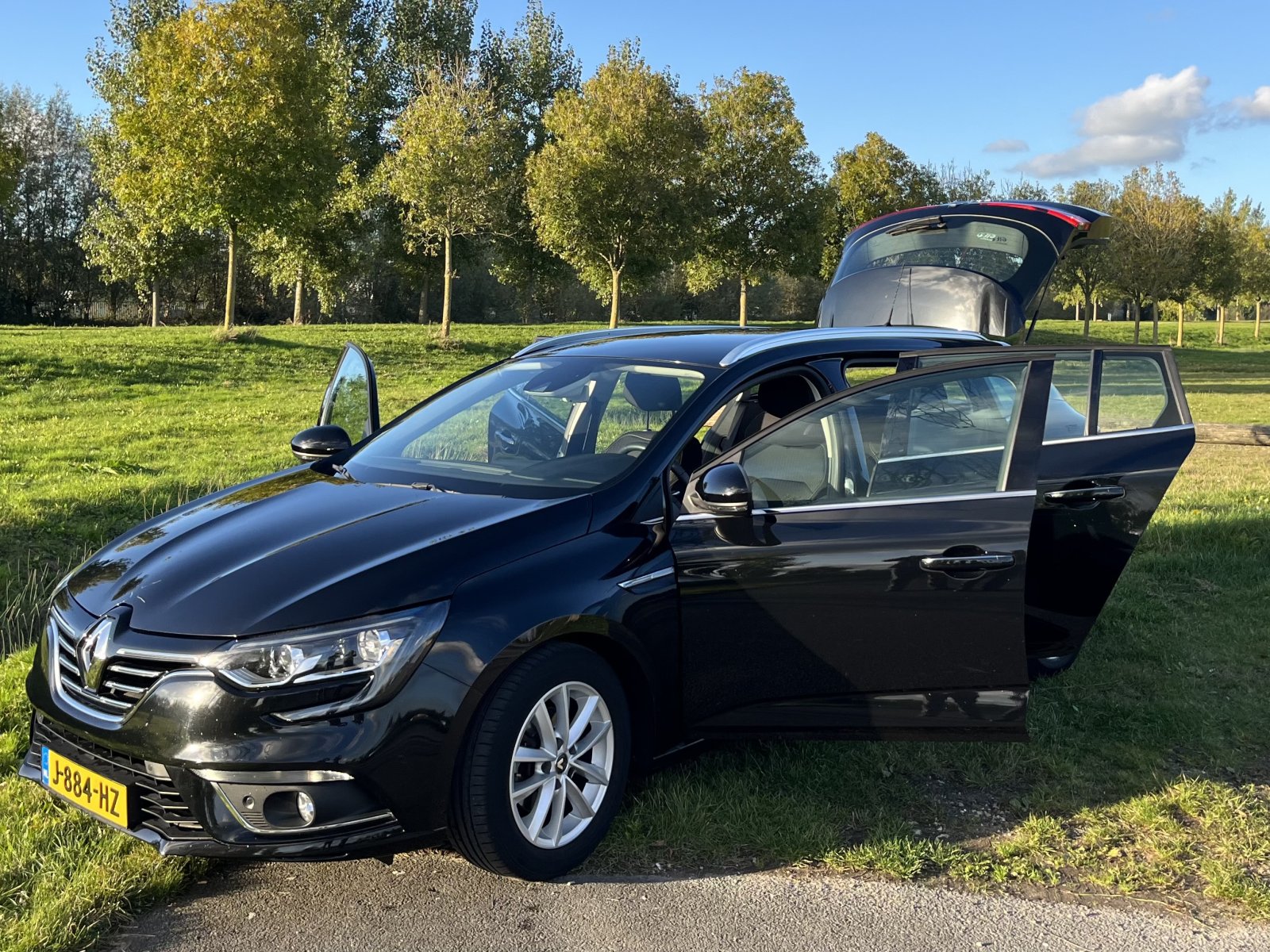 Inspectiefoto van Renault Mégane Estate