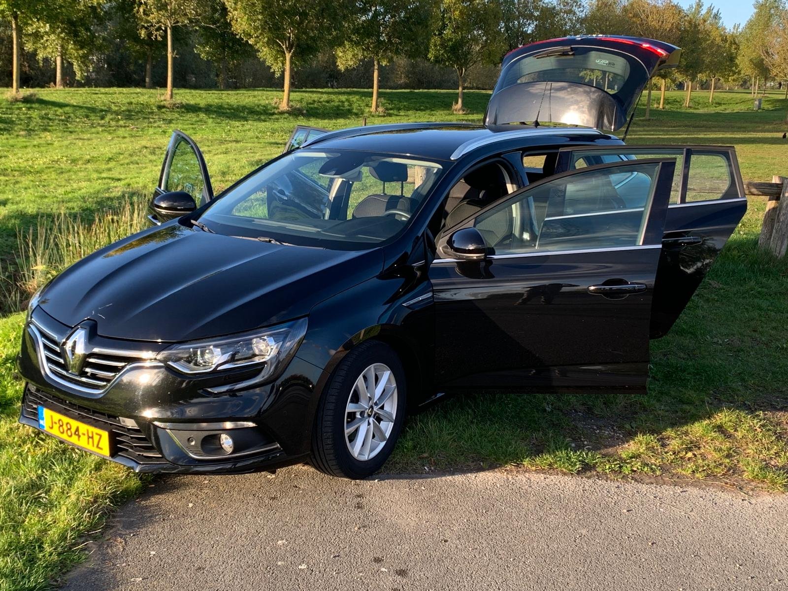 Inspectiefoto van Renault Mégane Estate