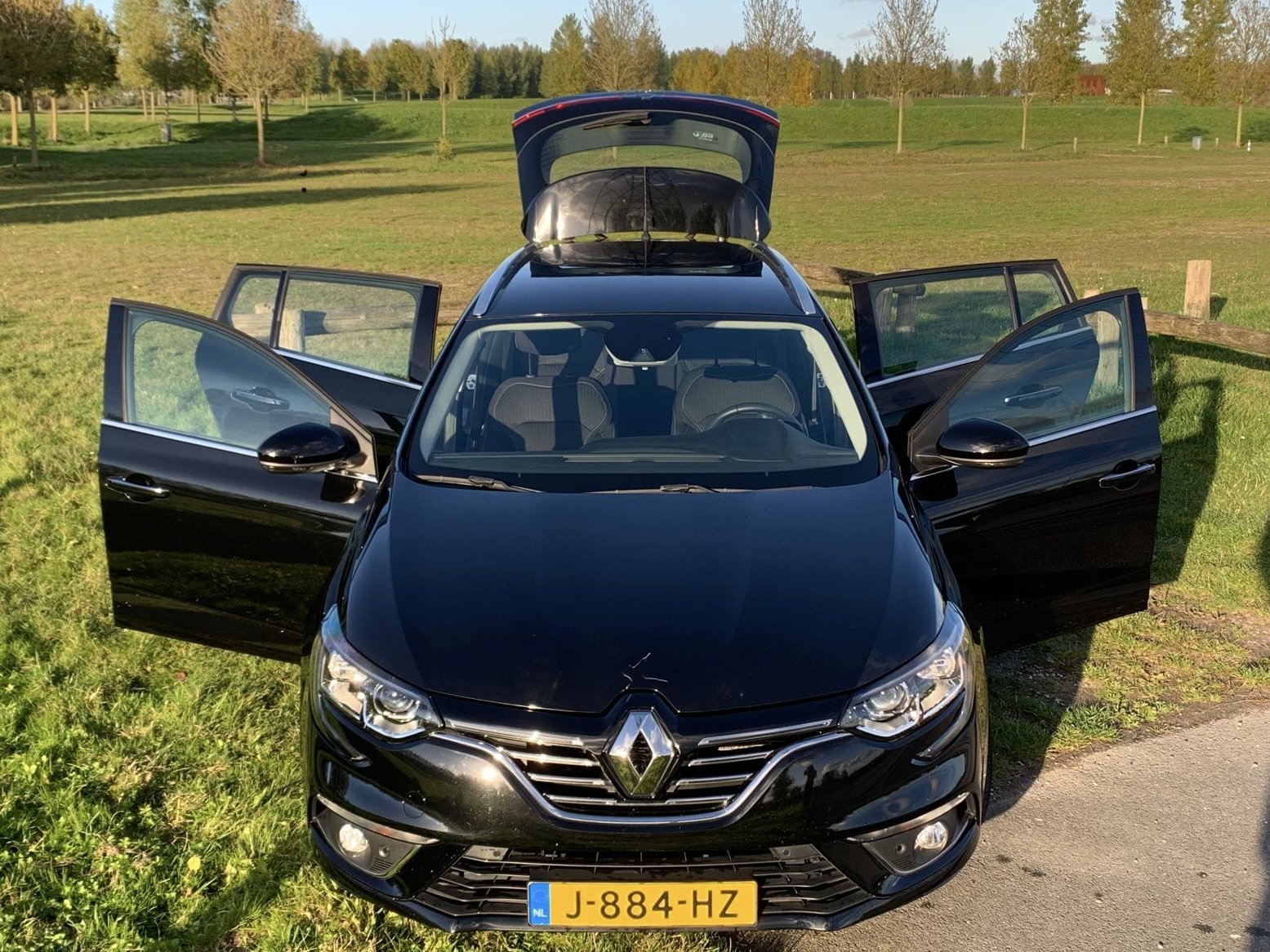 Inspectiefoto van Renault Mégane Estate