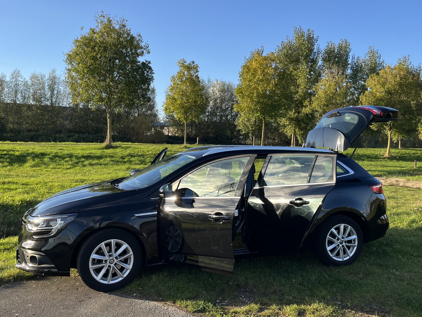 Inspectiefoto van Renault Mégane Estate
