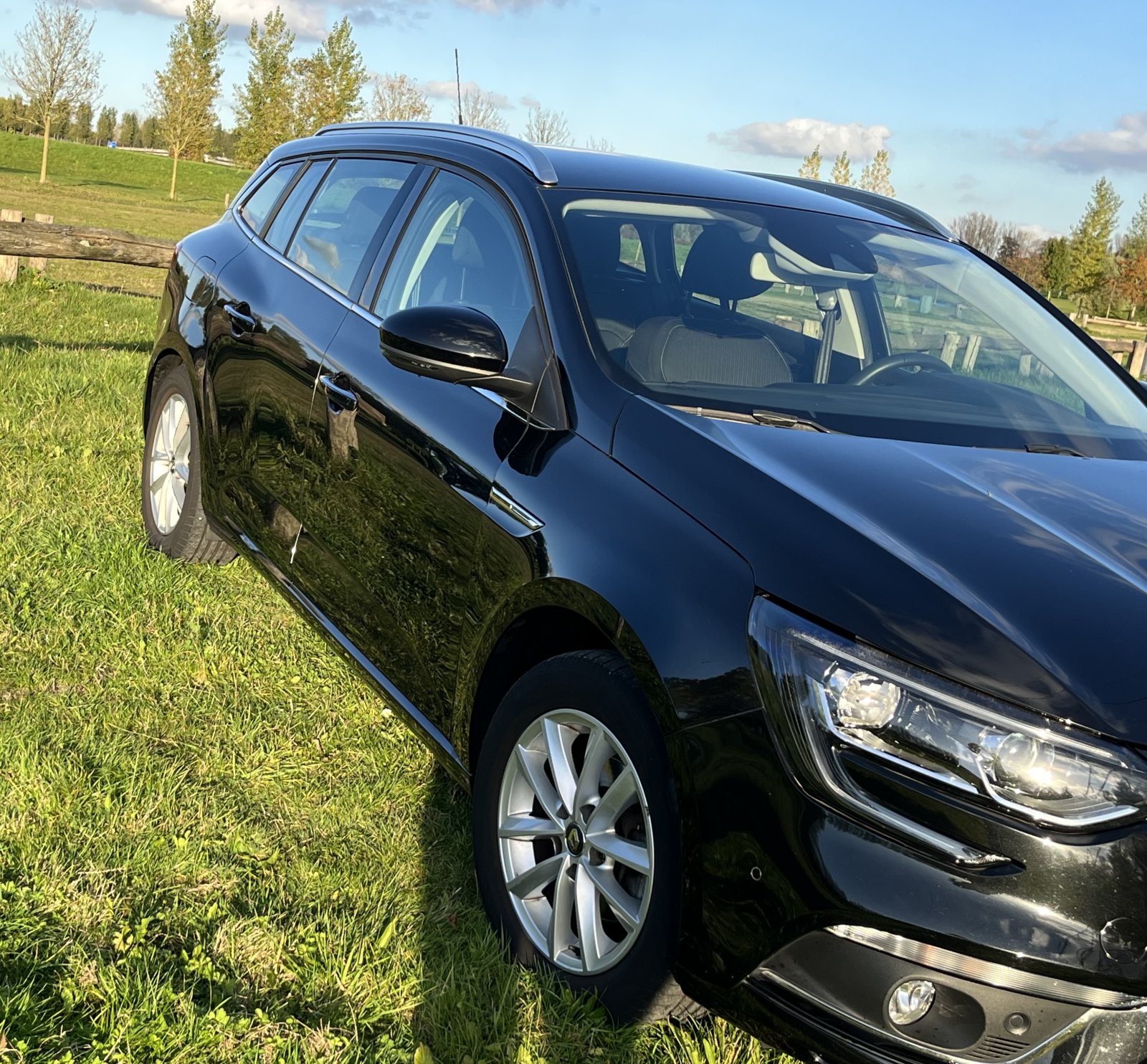 Inspectiefoto van Renault Mégane Estate
