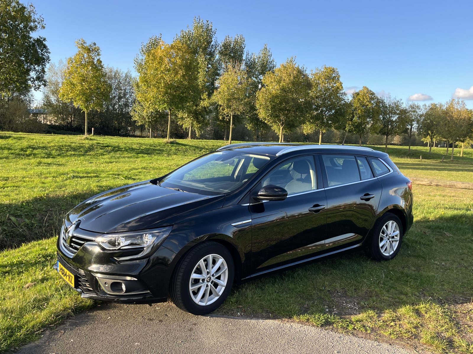 Inspectiefoto van Renault Mégane Estate