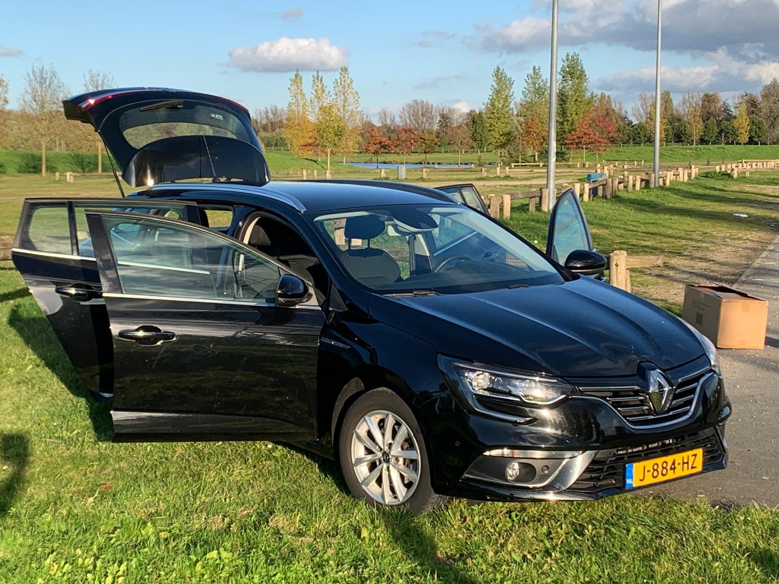 Inspectiefoto van Renault Mégane Estate