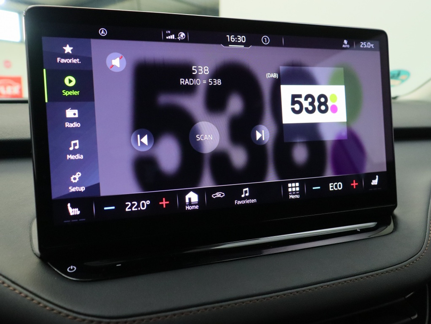 Foto van Skoda Enyaq 80
