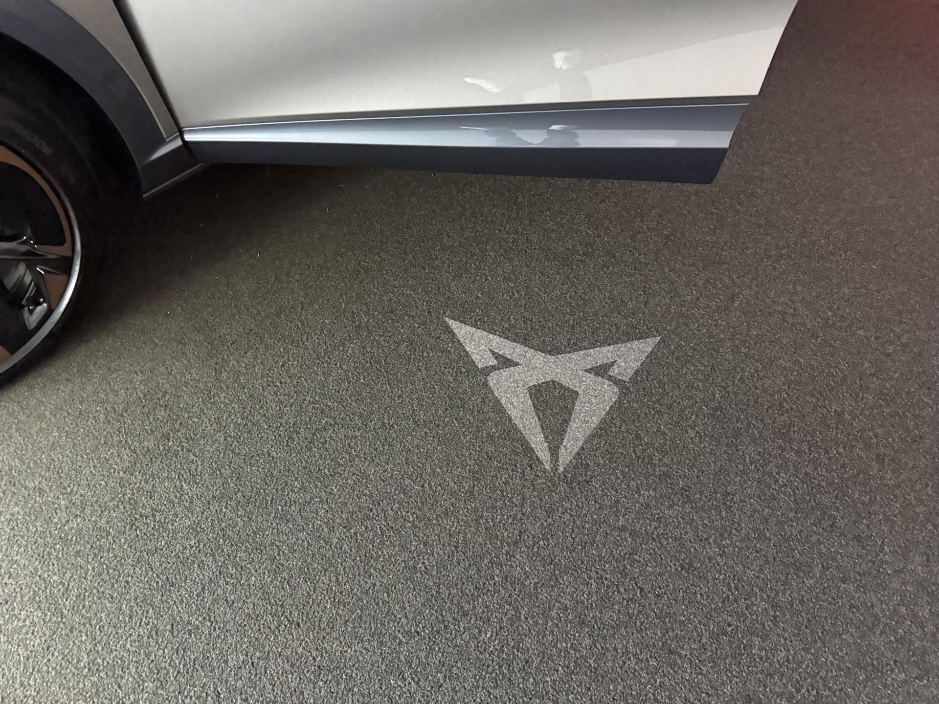 Foto van Cupra Tavascan