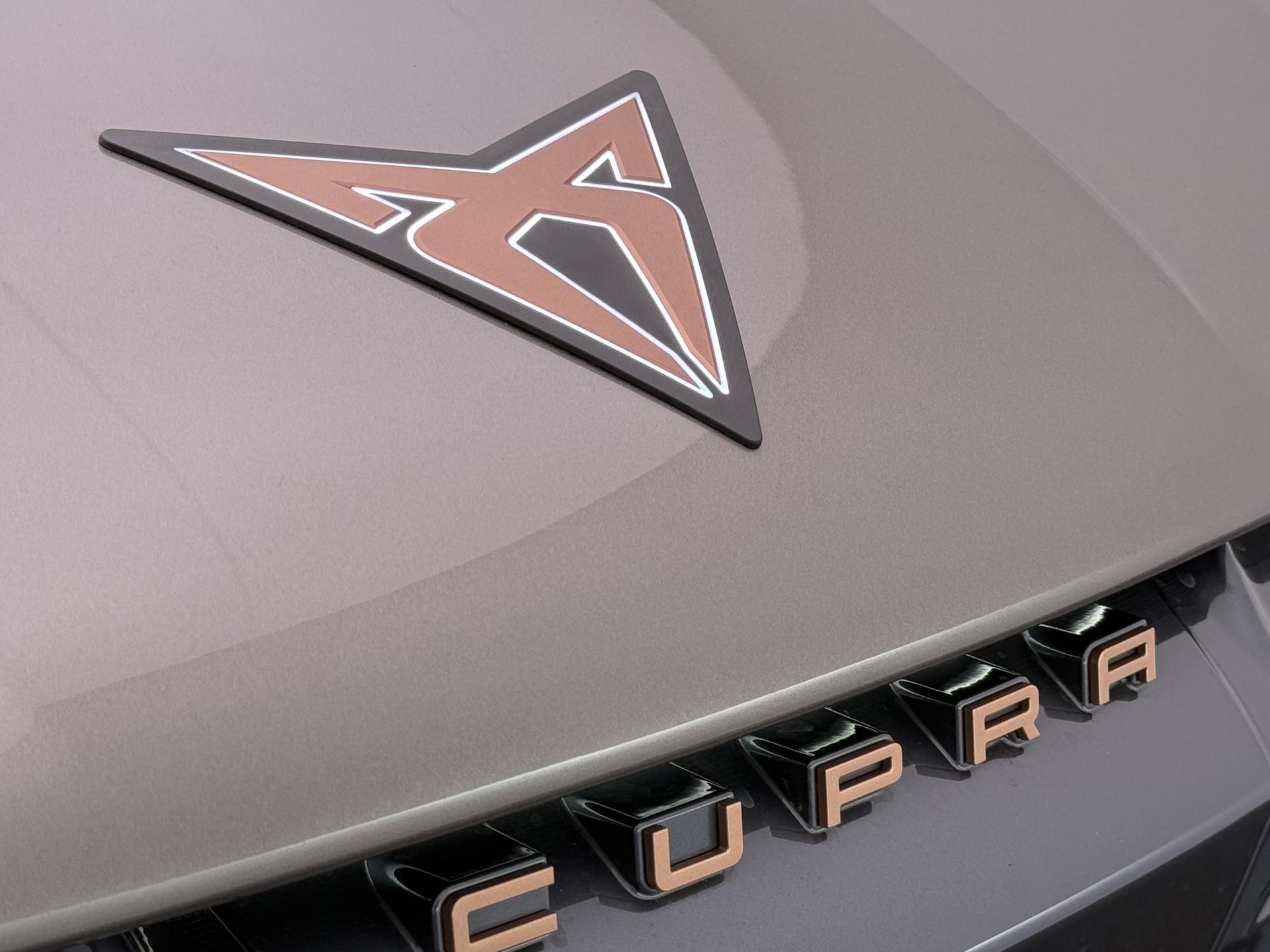 Foto van Cupra Tavascan