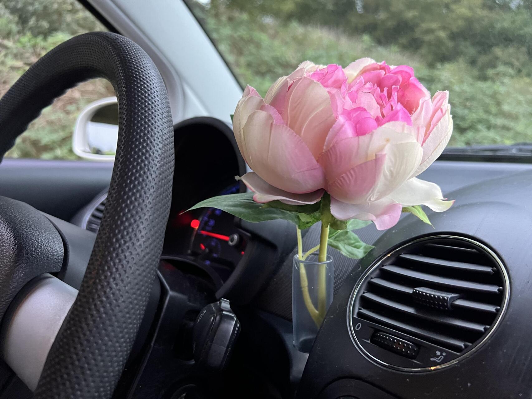 Foto van Volkswagen New Beetle
