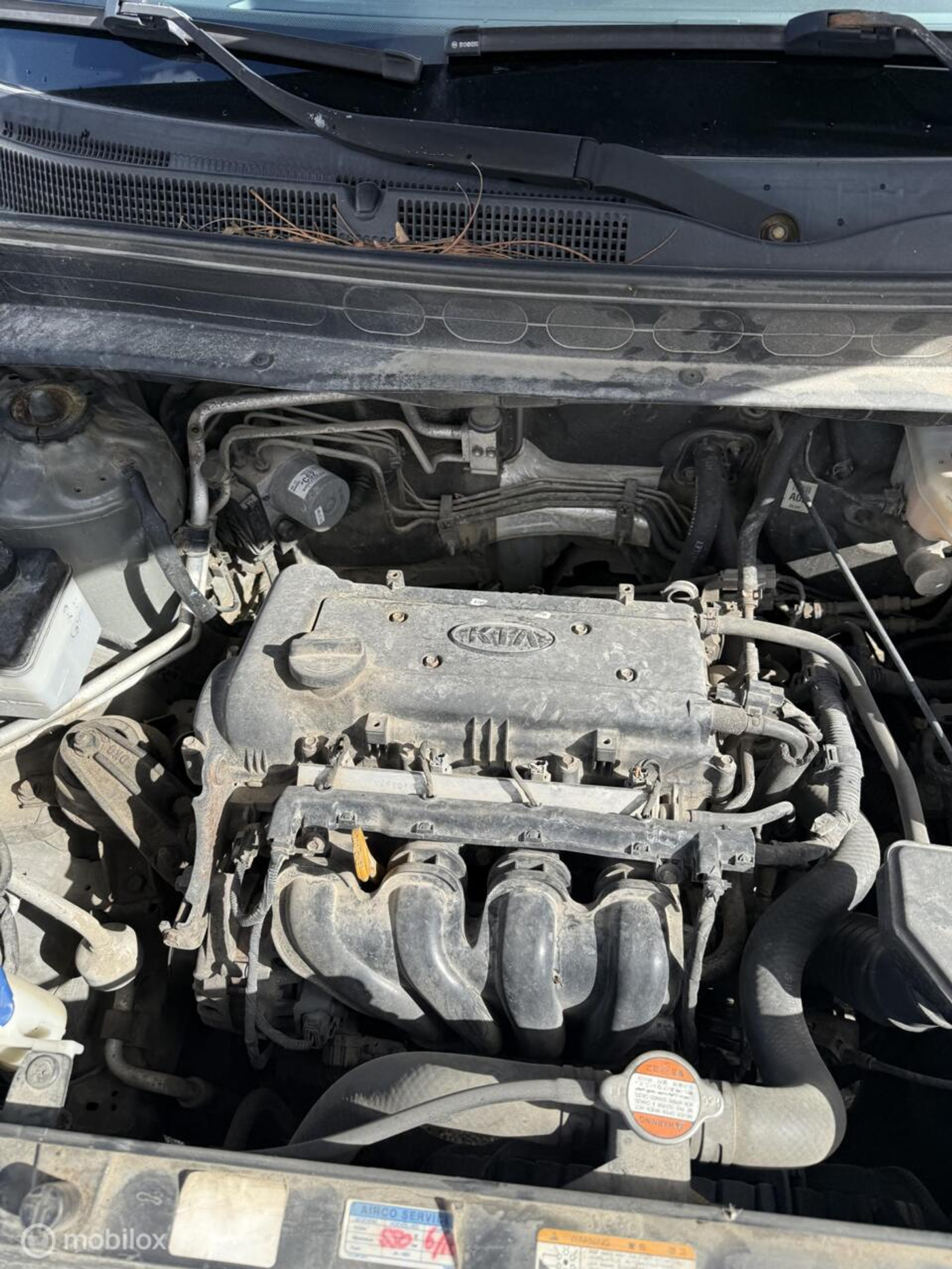 Foto van Kia Soul