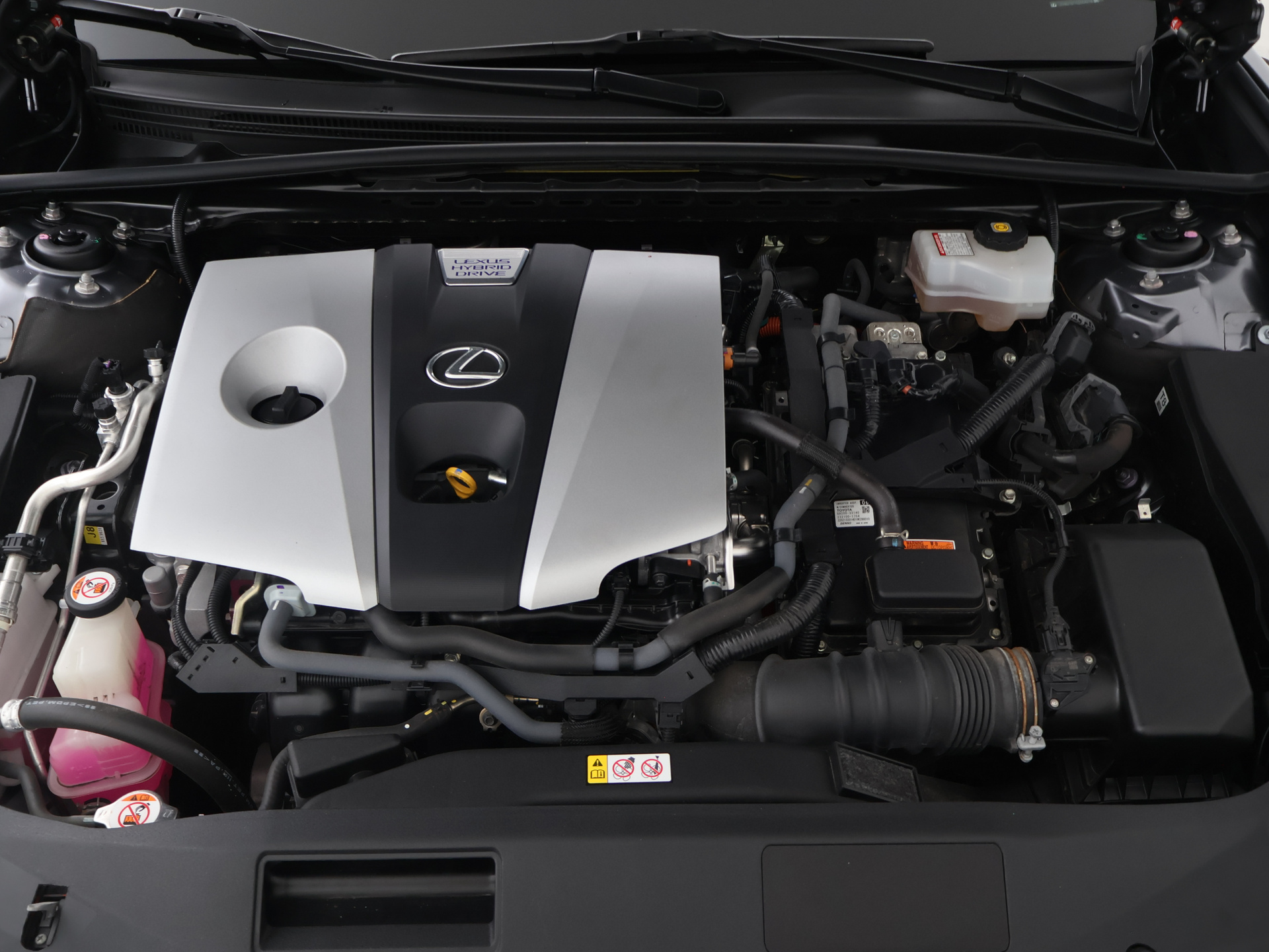 Foto van Lexus Lexus Es300h