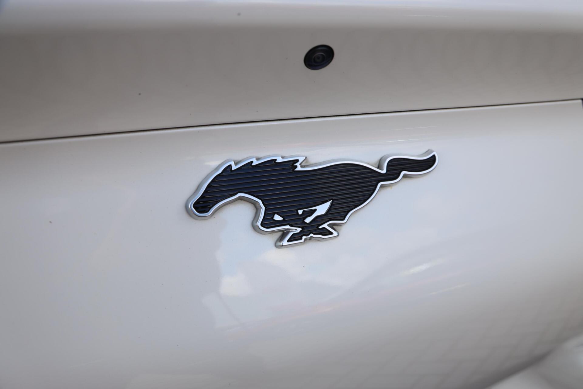 Foto van Ford Mustang Mach-e