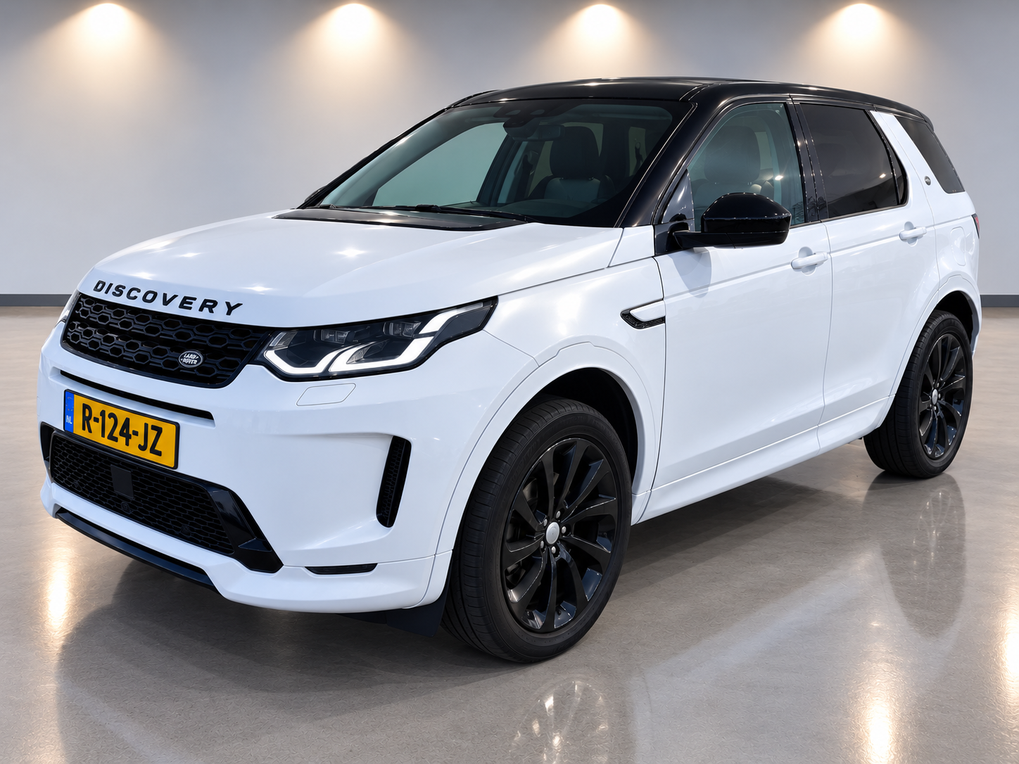Foto van Land Rover Discovery Sport