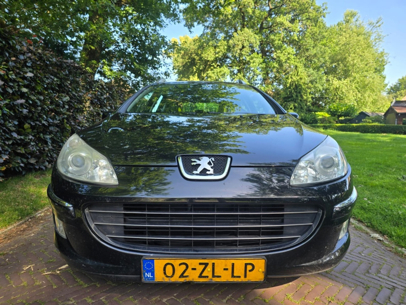 Foto van Peugeot 407
