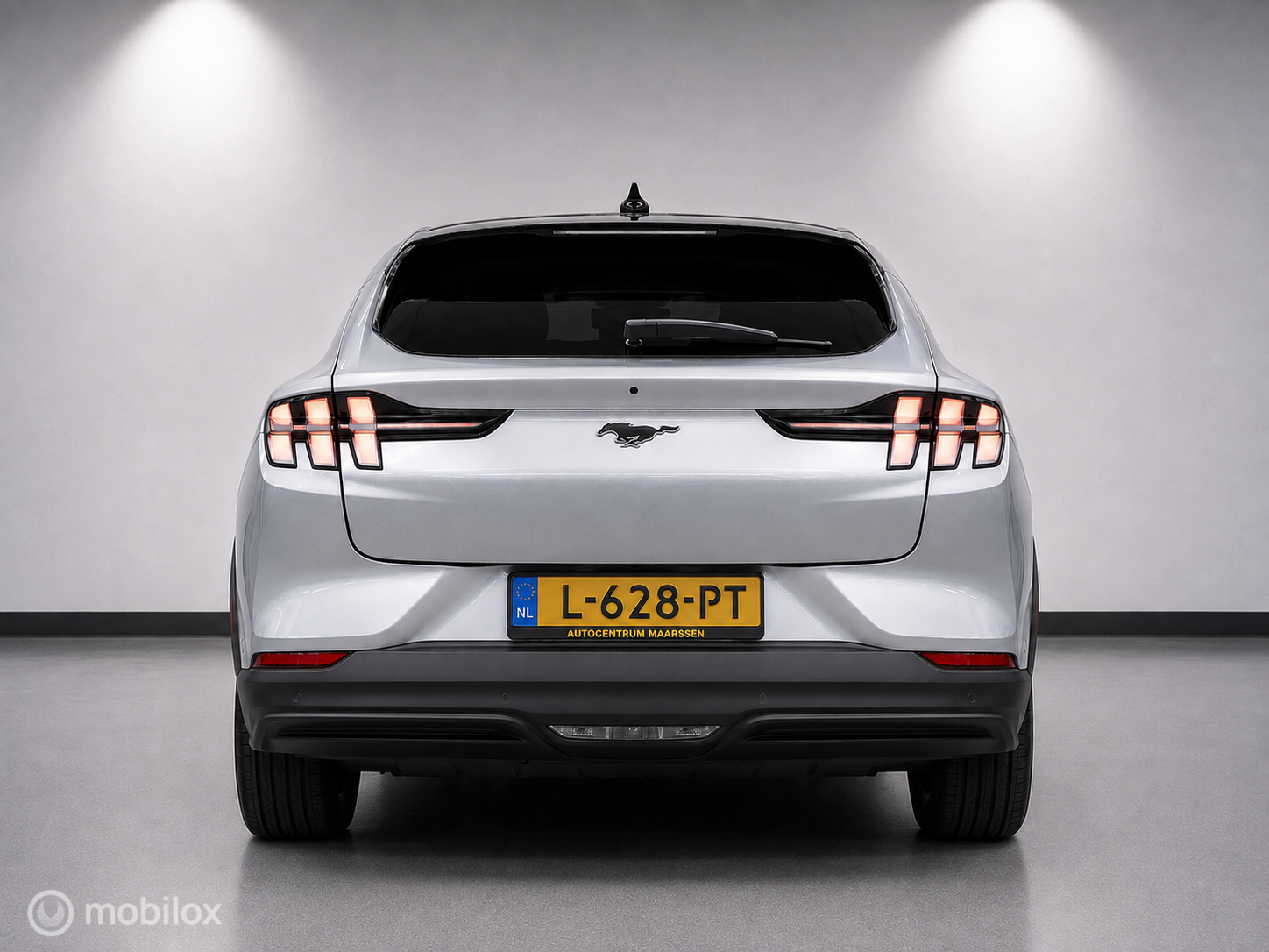 Foto van Ford Mustang Mach-e