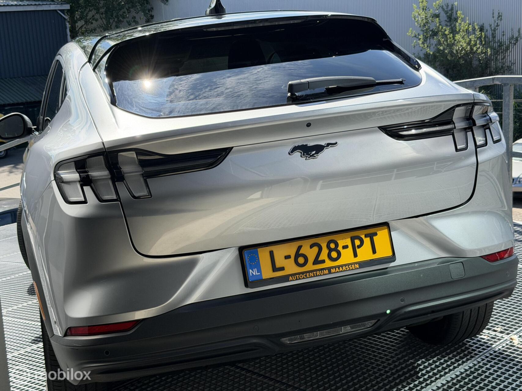 Foto van Ford Mustang Mach-e