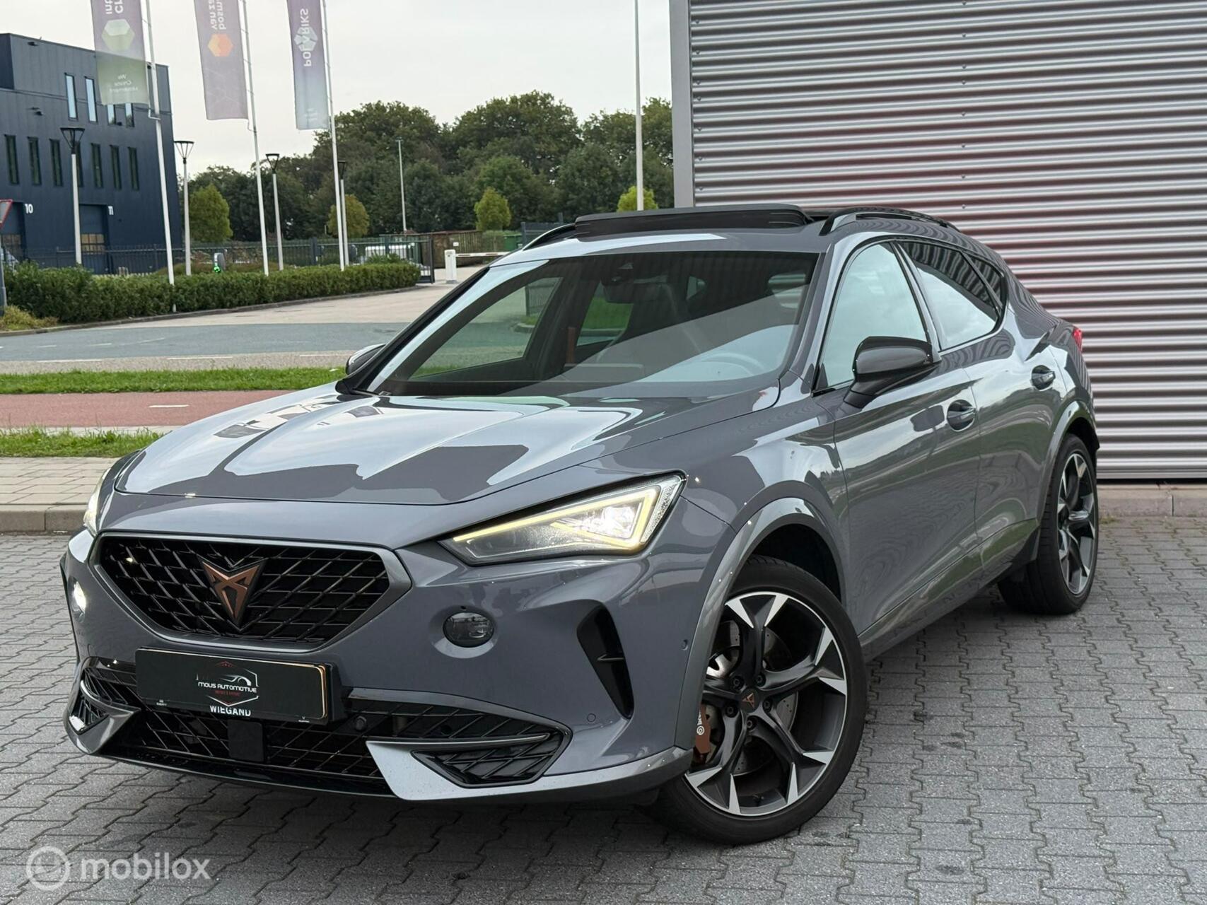 Foto van Cupra Formentor