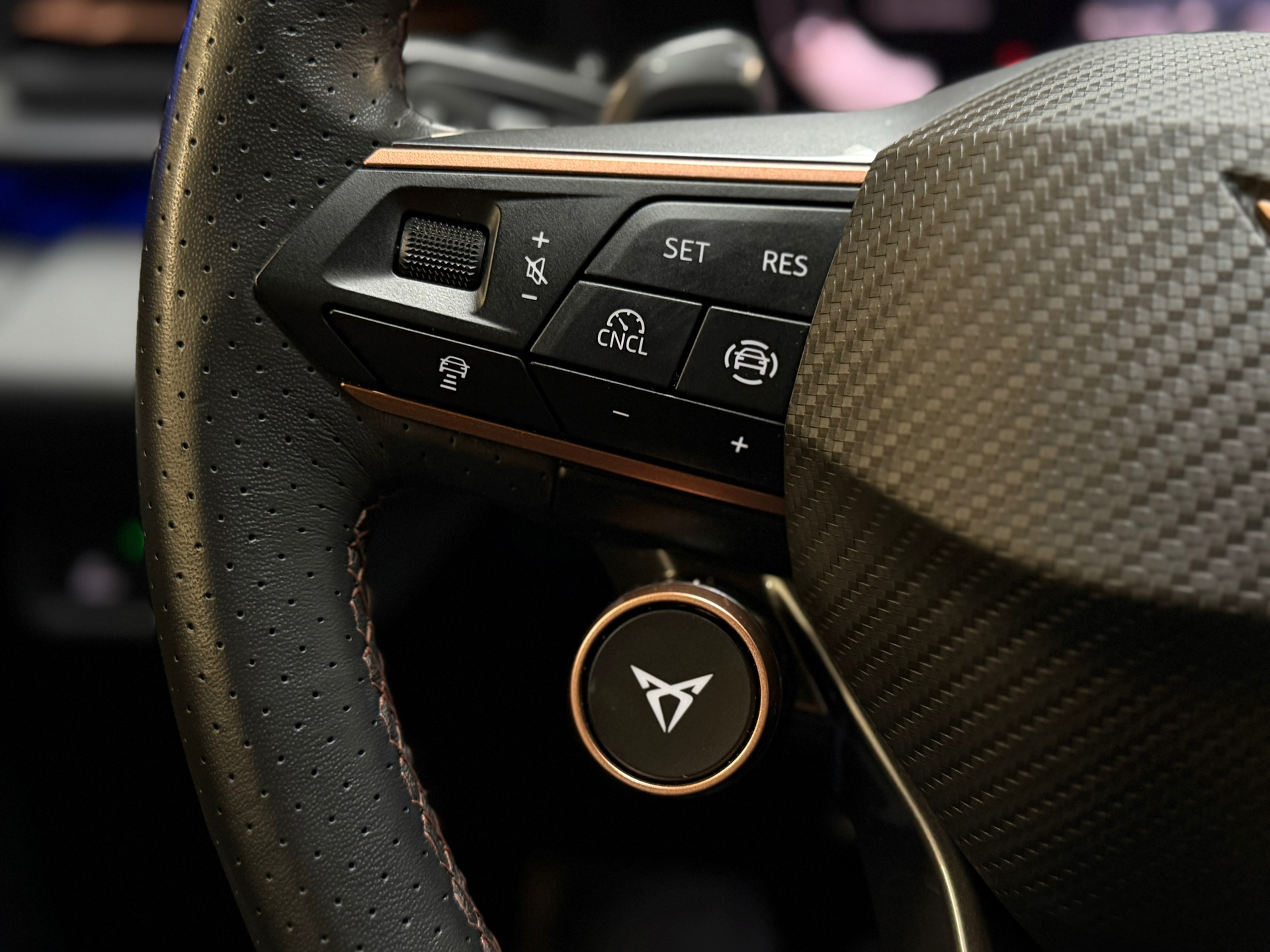 Foto van Cupra Terramar
