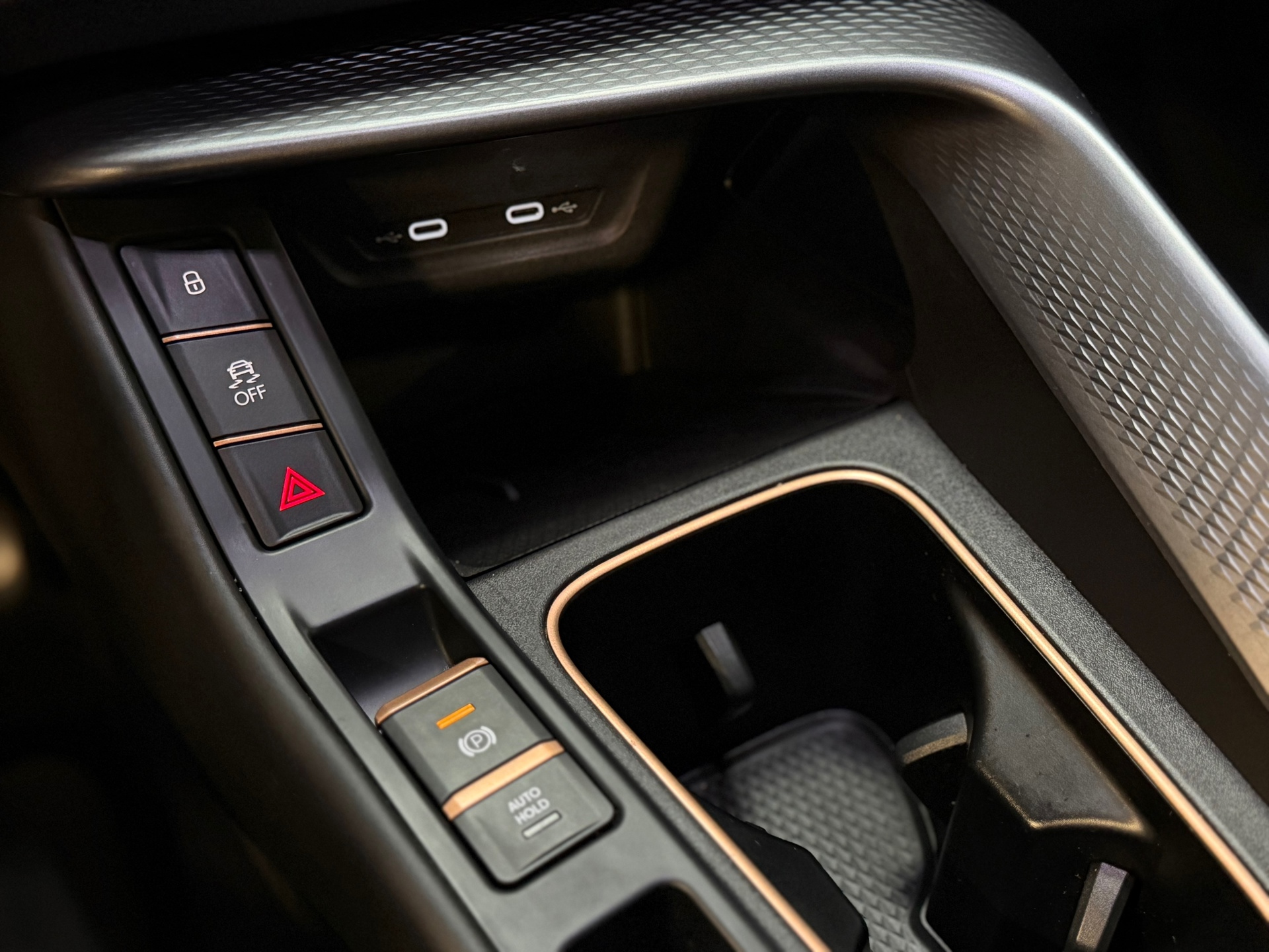 Foto van Cupra Terramar