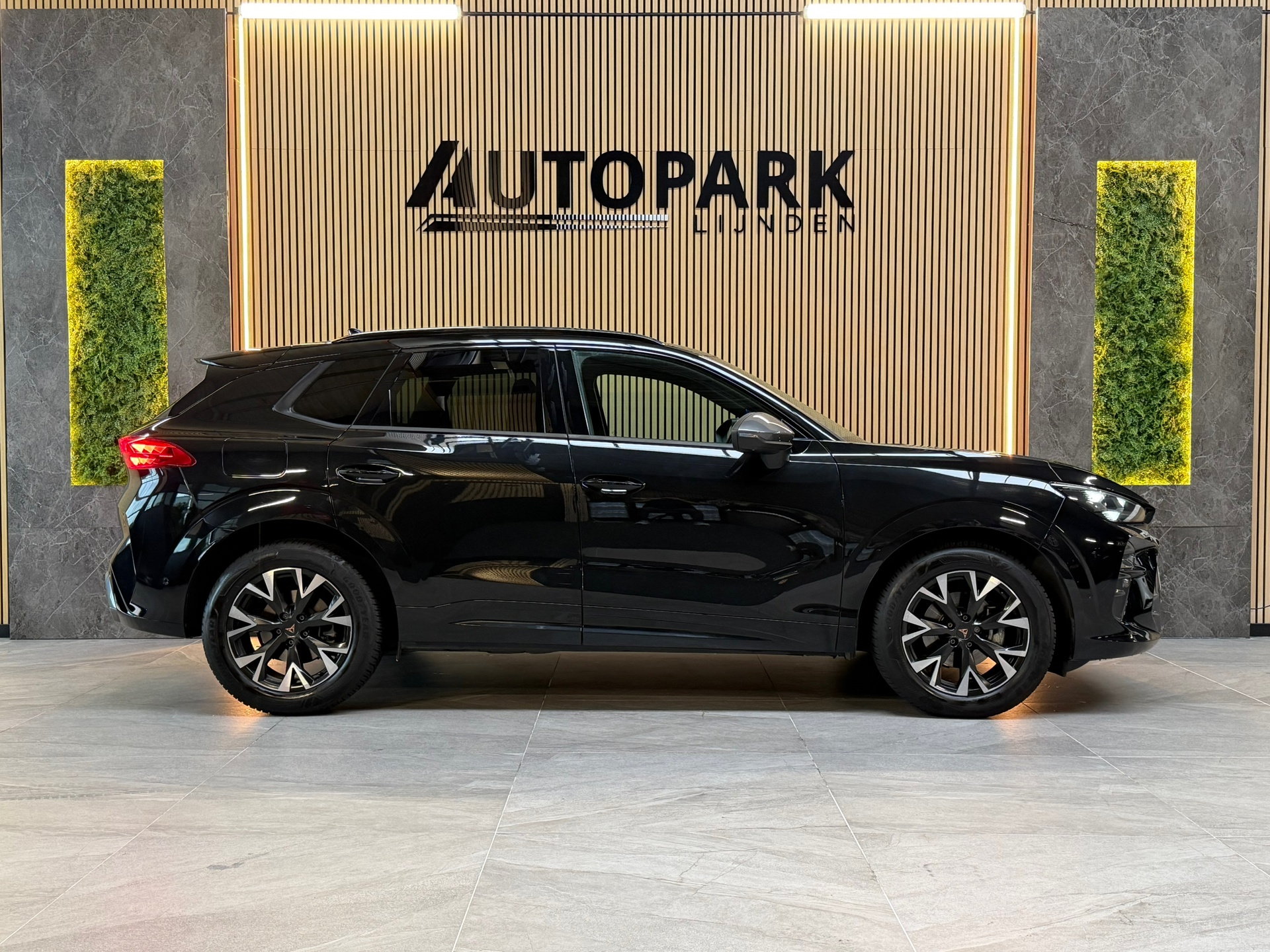 Foto van Cupra Terramar
