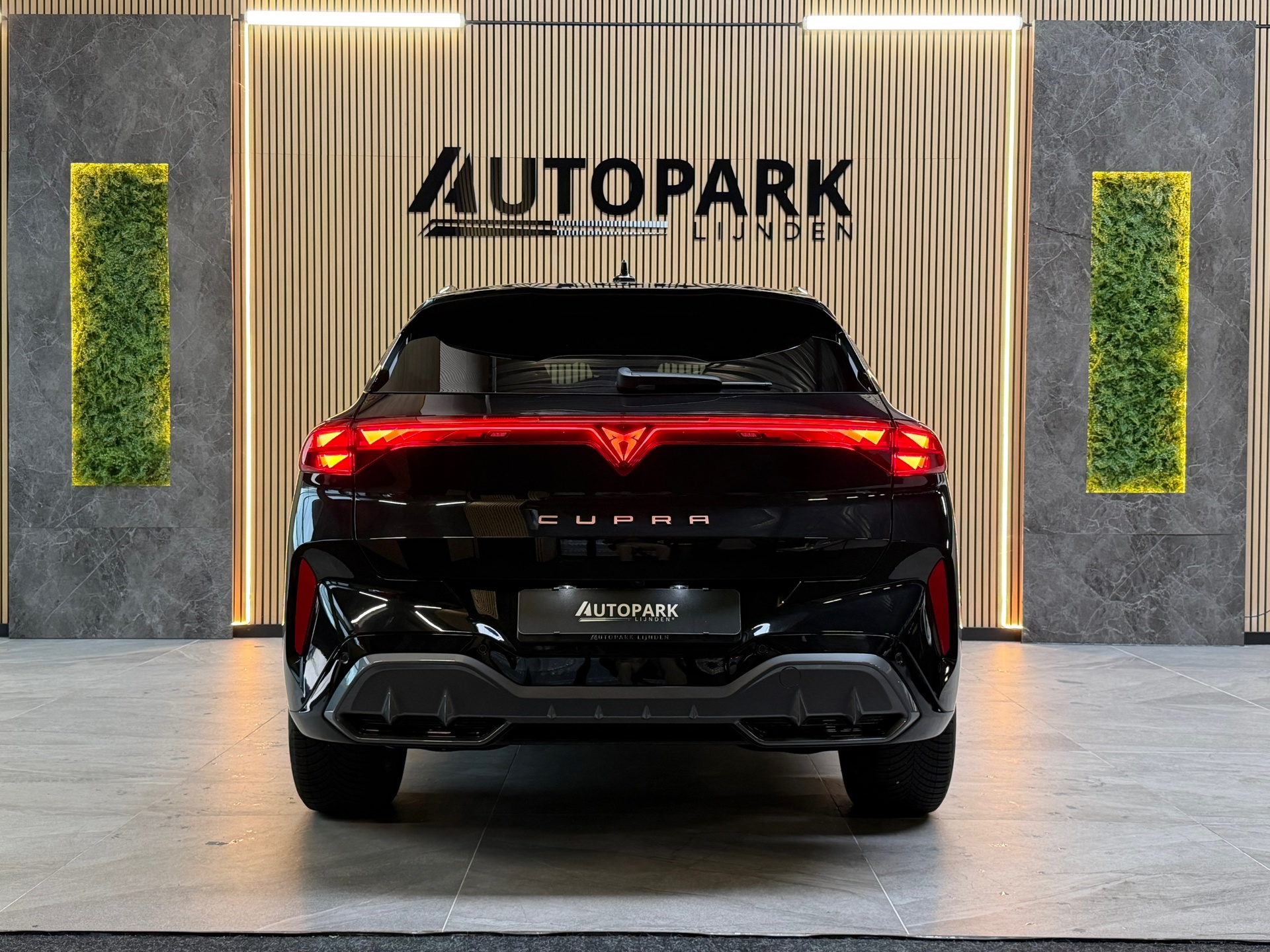 Foto van Cupra Terramar