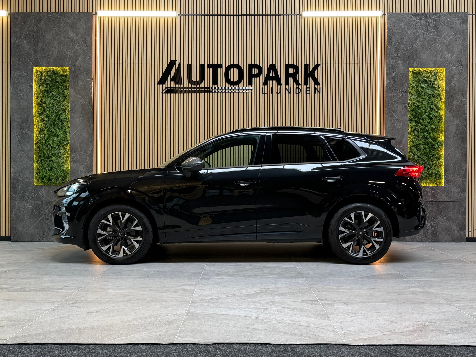 Foto van Cupra Terramar