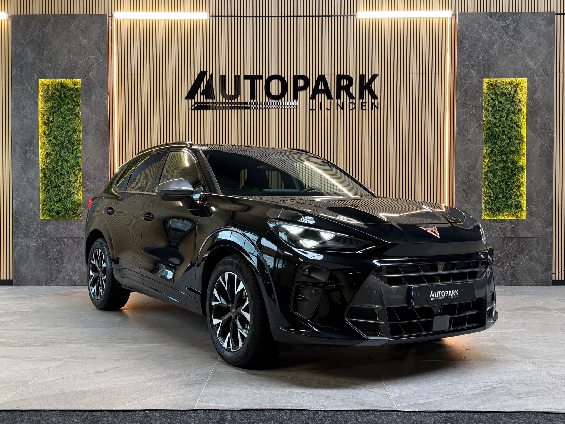 Foto van Cupra Terramar