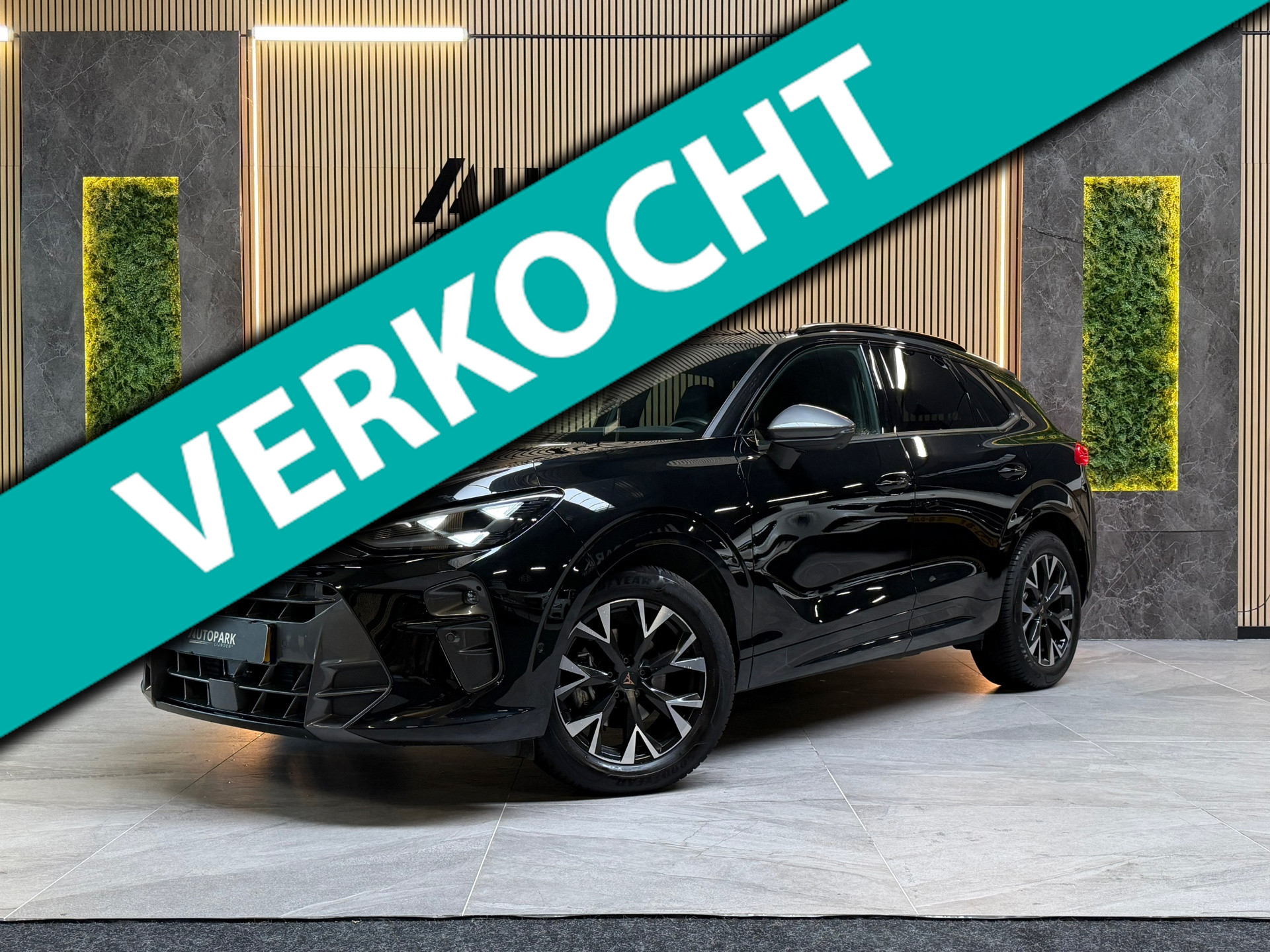 Cupra Terramar 1.5 TSI e Business |HuD|360 CAMERA|MEMORY|KEYLESS|CARPLAY|NIGHT VIEUW|FABRIEKSGARANTIE|DODEHOEK|ACC|LANE ASSIST| 2025 - voorkant