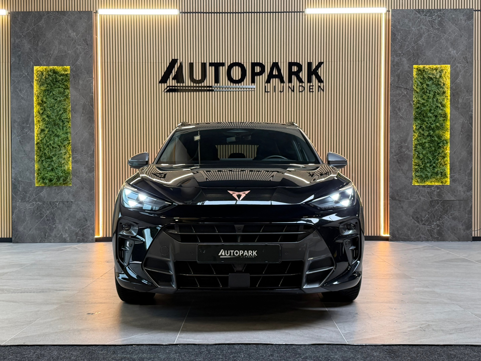 Foto van Cupra Terramar