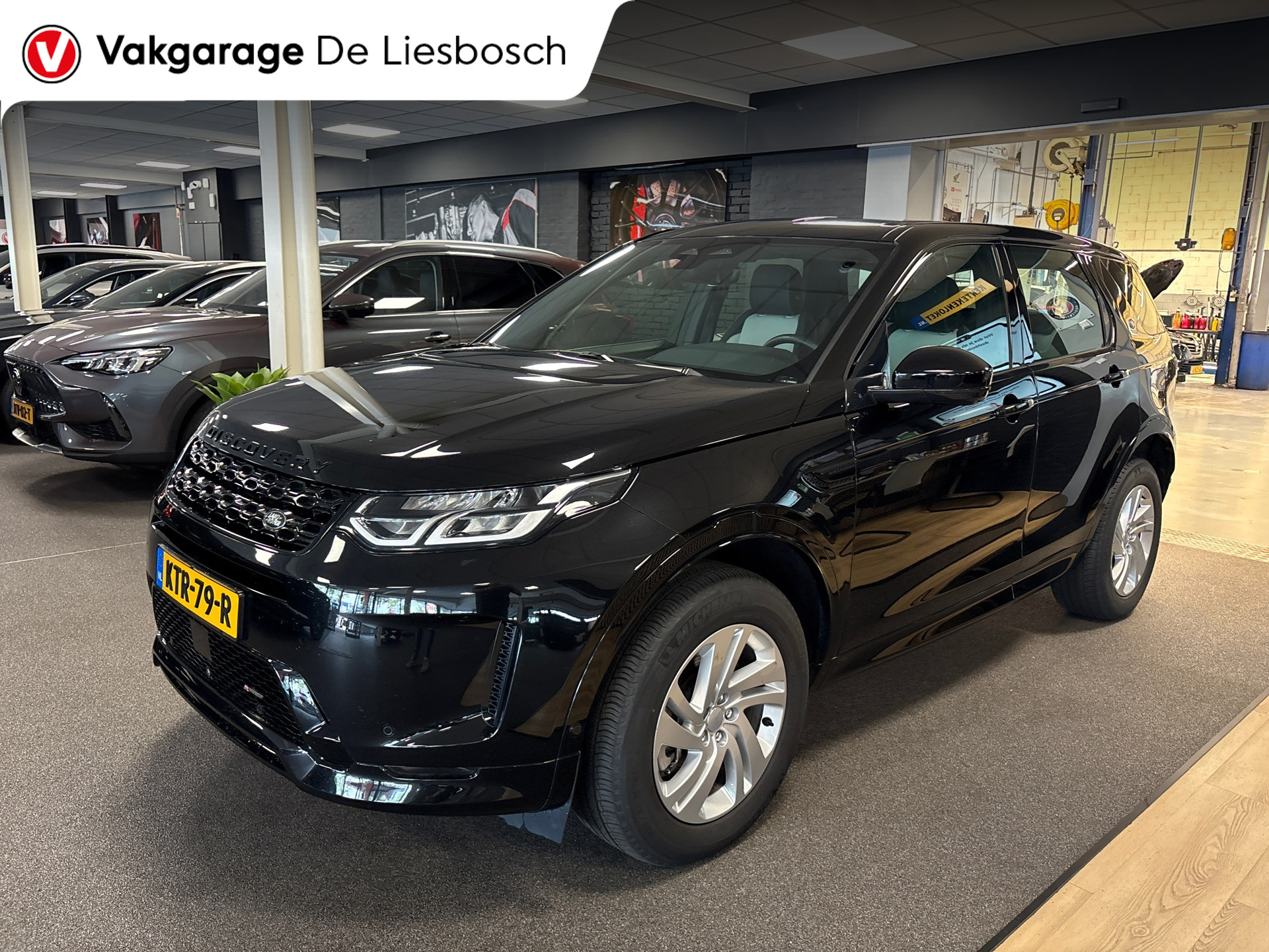 Foto van Land Rover Discovery Sport