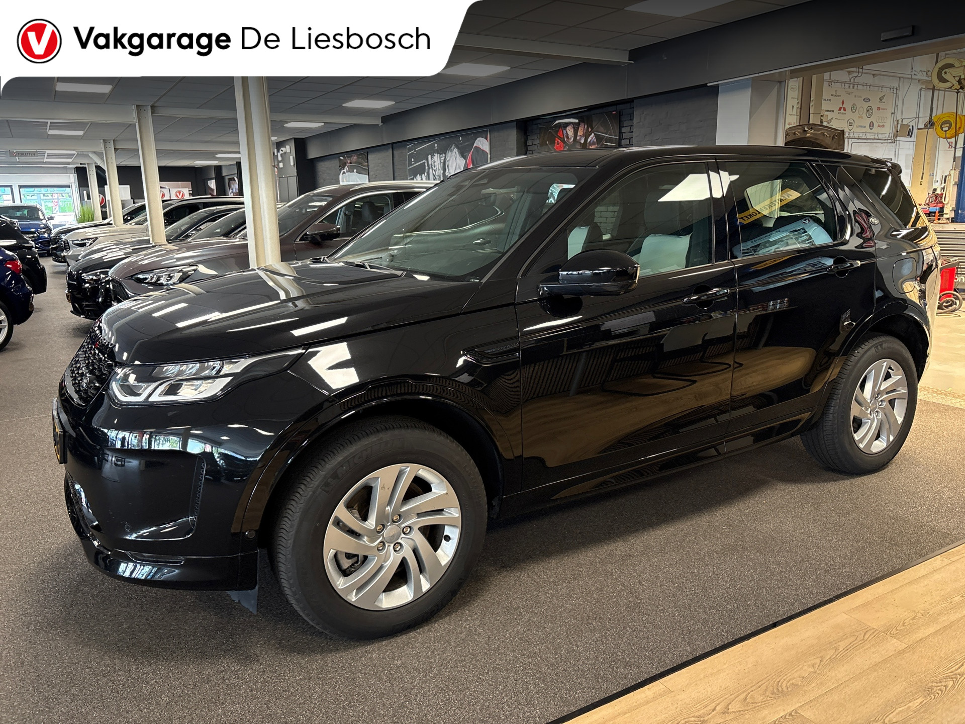 Foto van Land Rover Discovery Sport