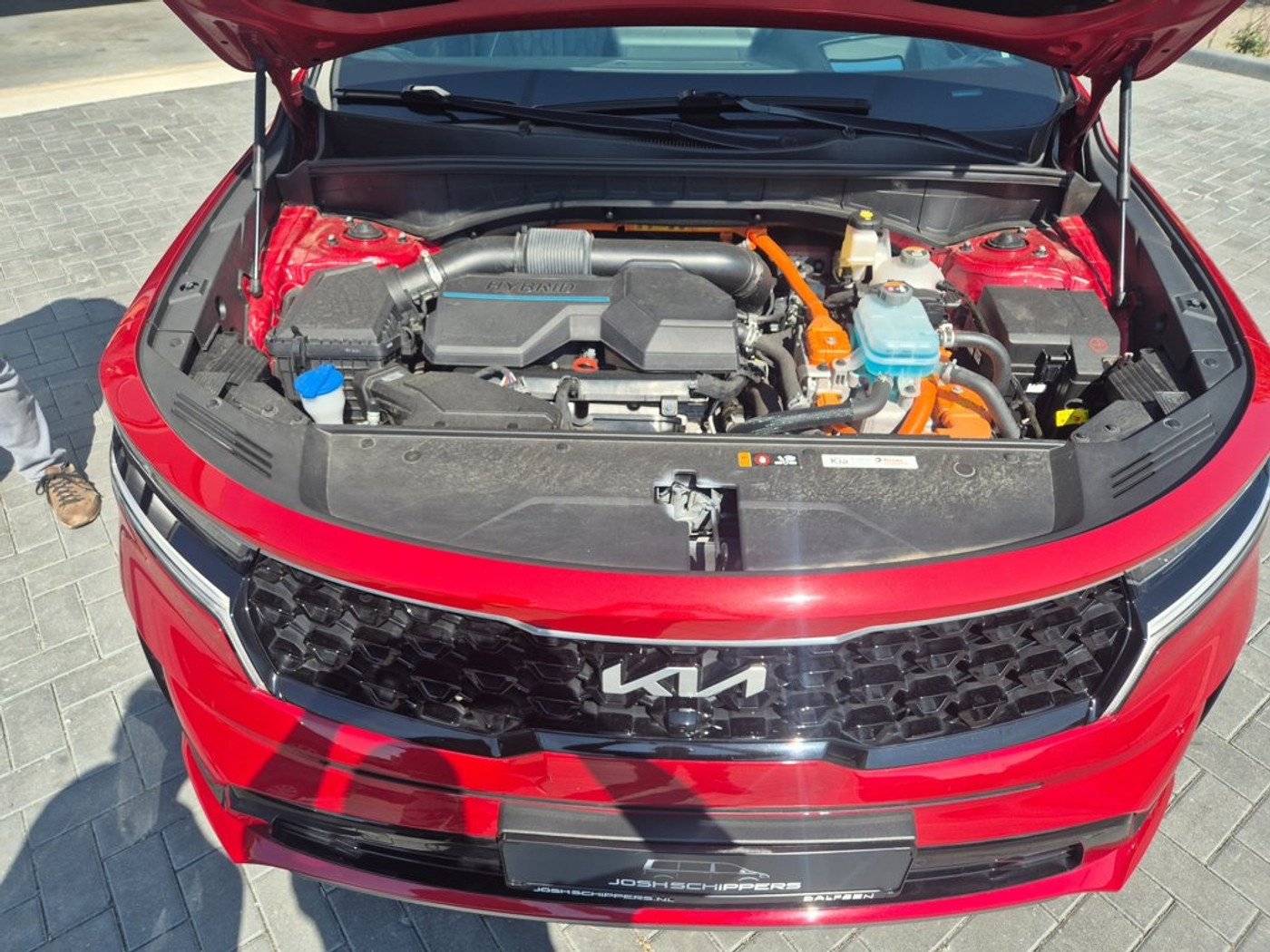 Foto van Kia Sorento