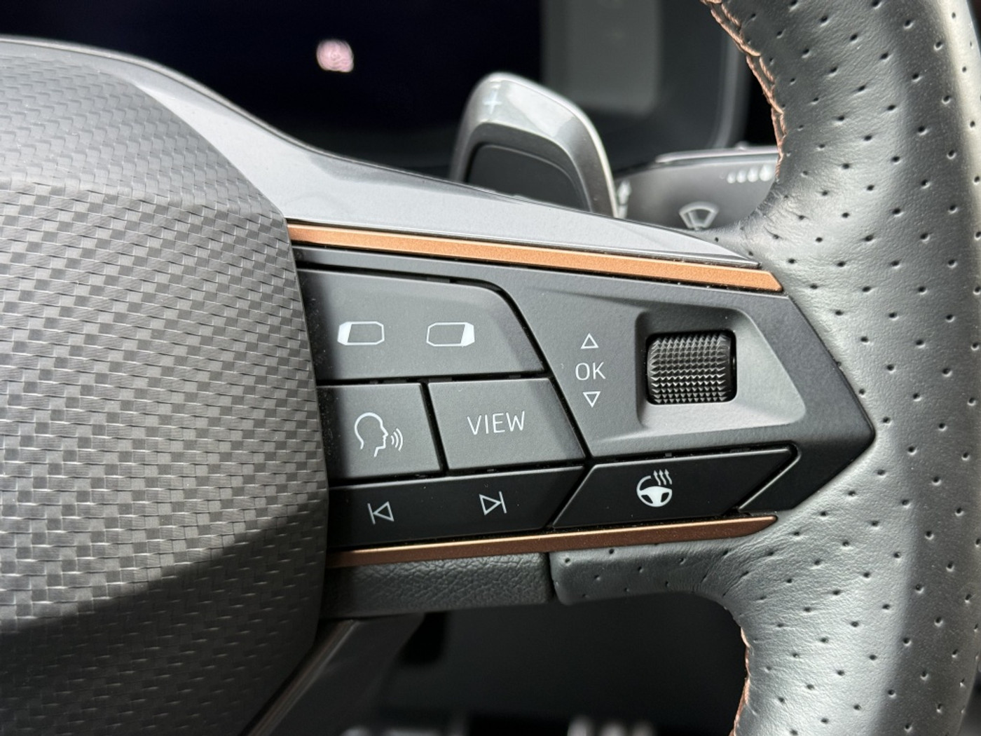 Foto van Cupra Leon