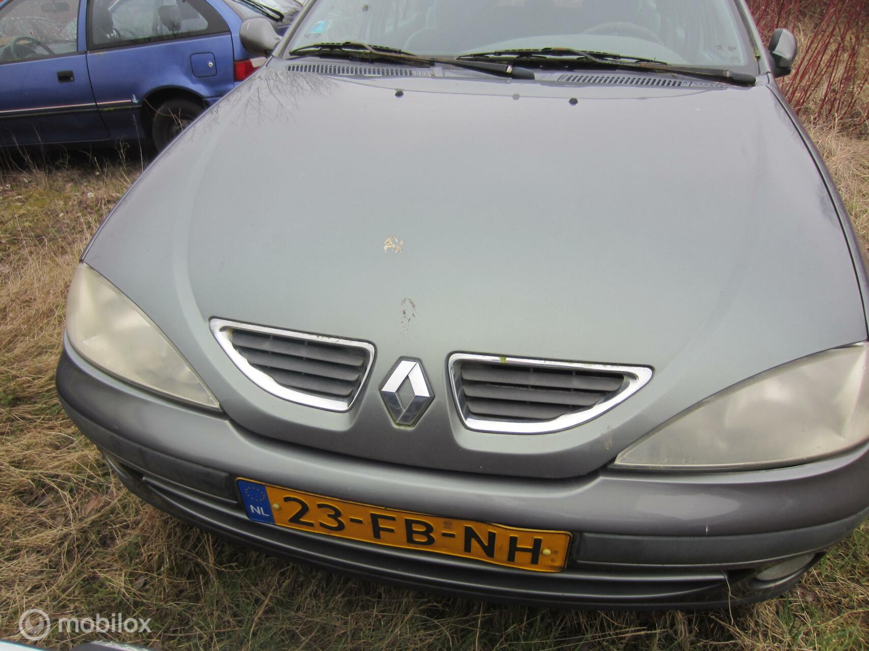 Foto van Renault Megane Break
