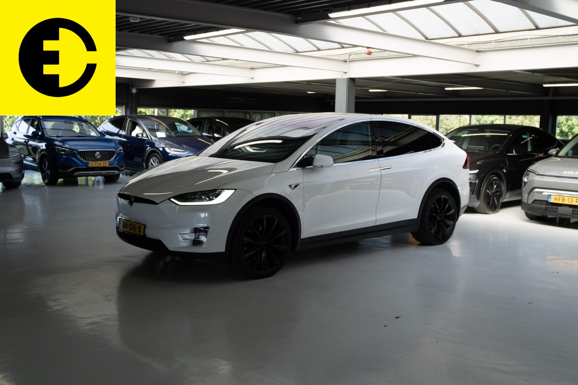 Foto van Tesla Model X