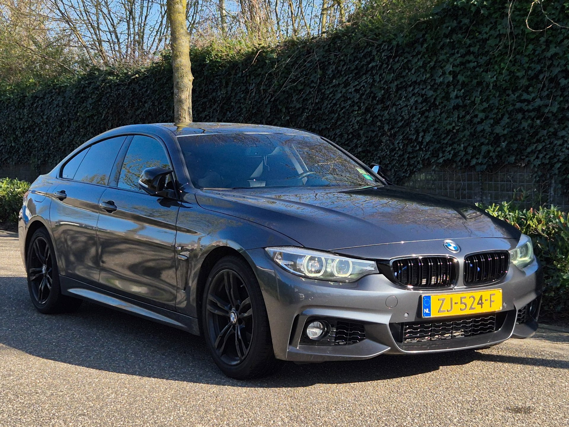 Foto van BMW 4-serie Gran Coupé