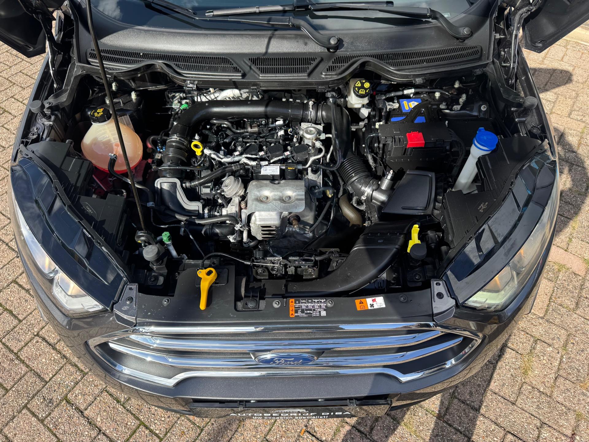 Foto van Ford Ecosport