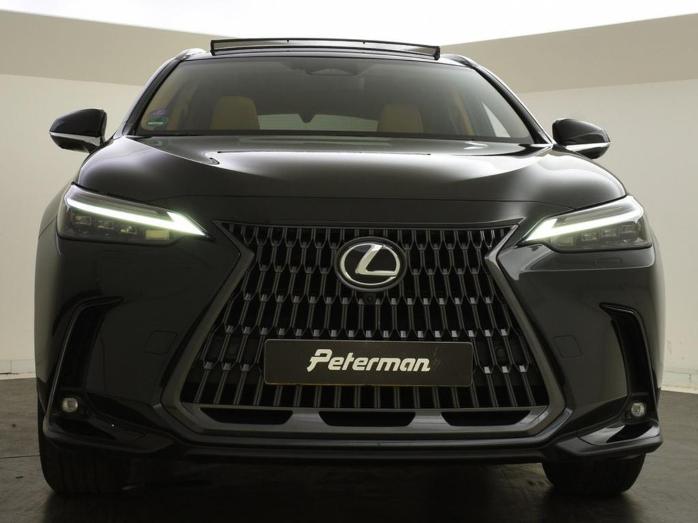 Foto van Lexus Lexus Nx350h