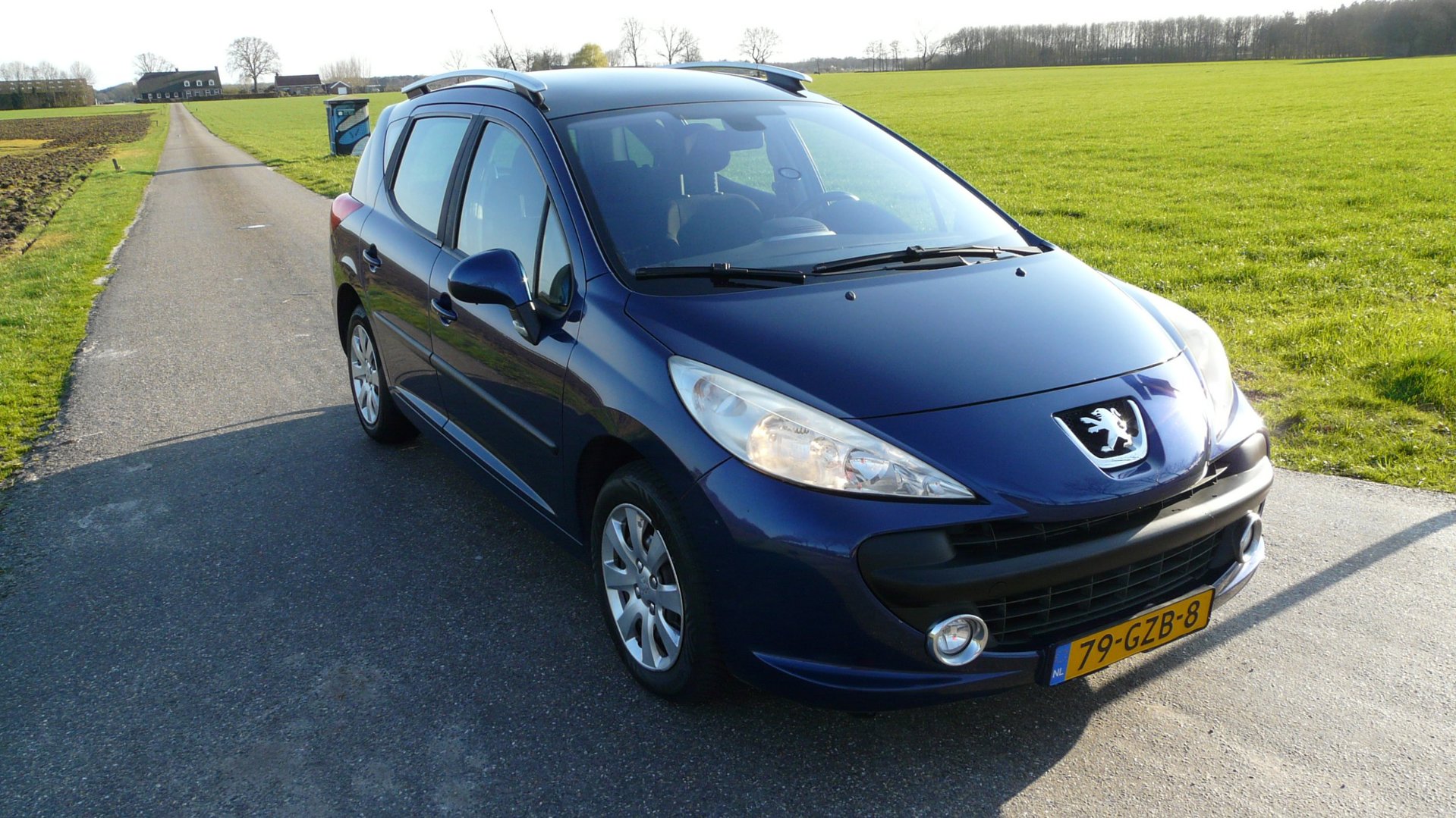 Foto van Peugeot 207 SW