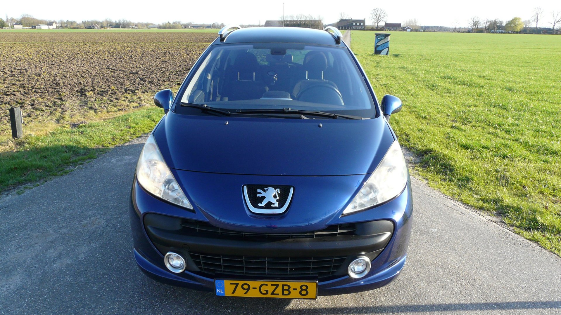 Foto van Peugeot 207 SW
