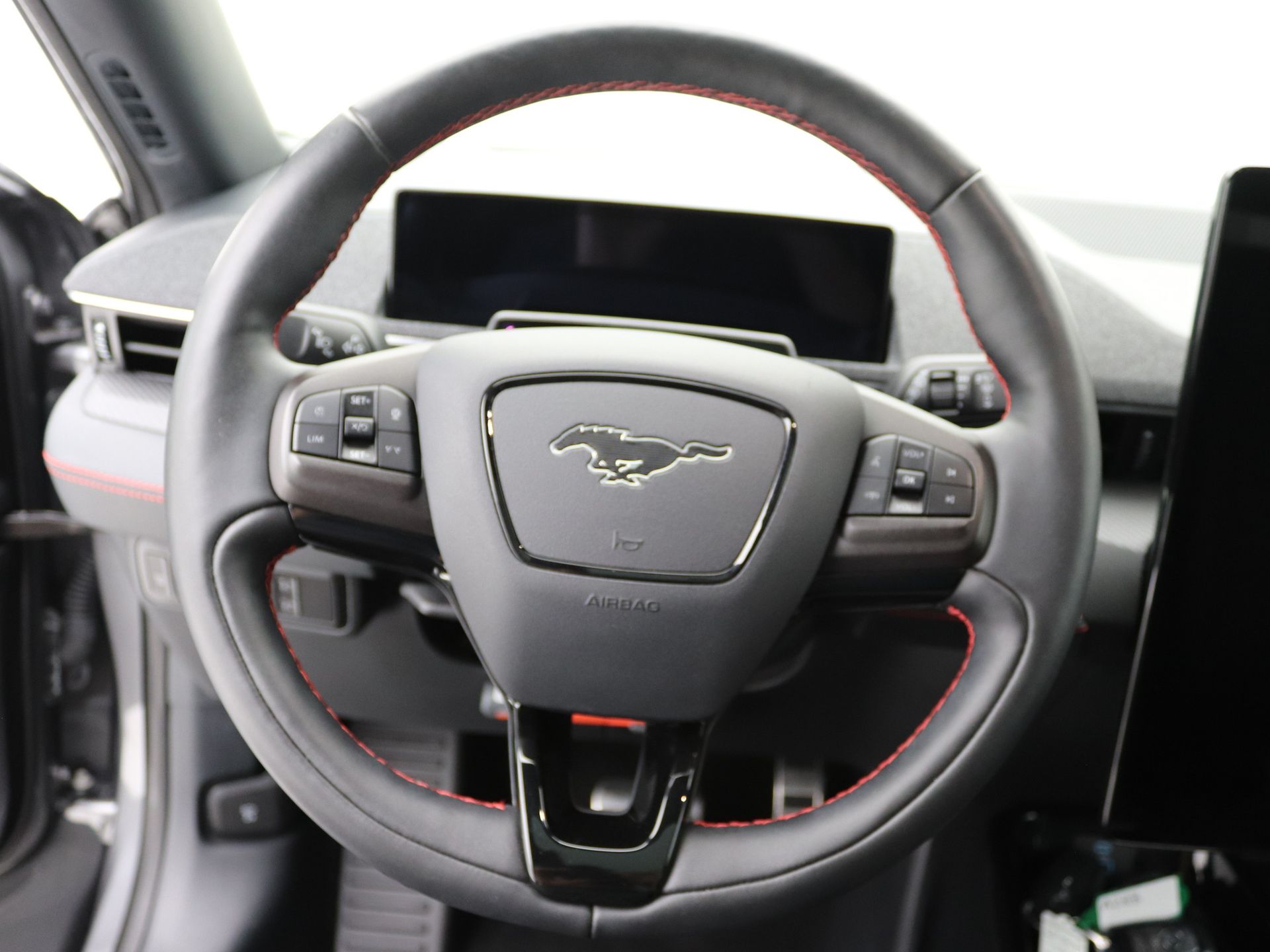 Foto van Ford Mustang Mach-e