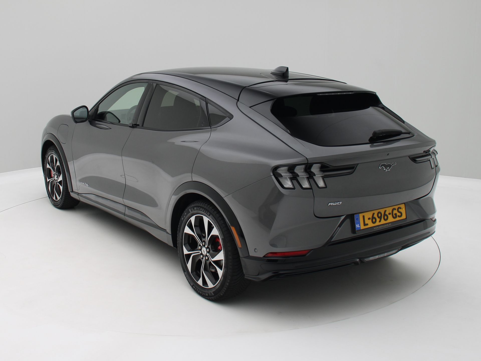 Foto van Ford Mustang Mach-e
