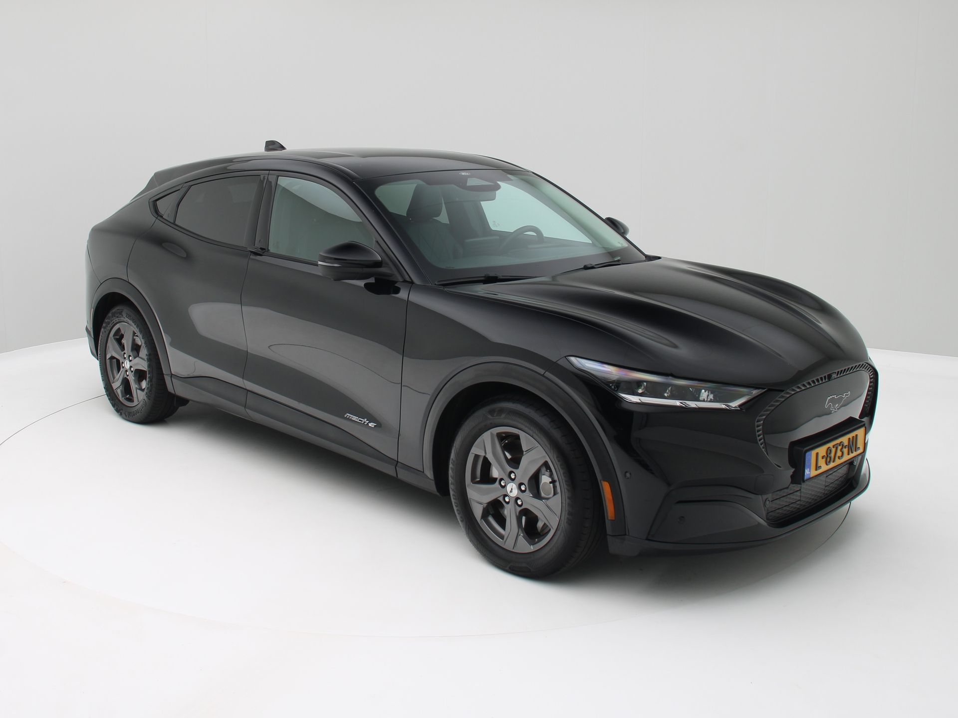 Foto van Ford Mustang Mach-e