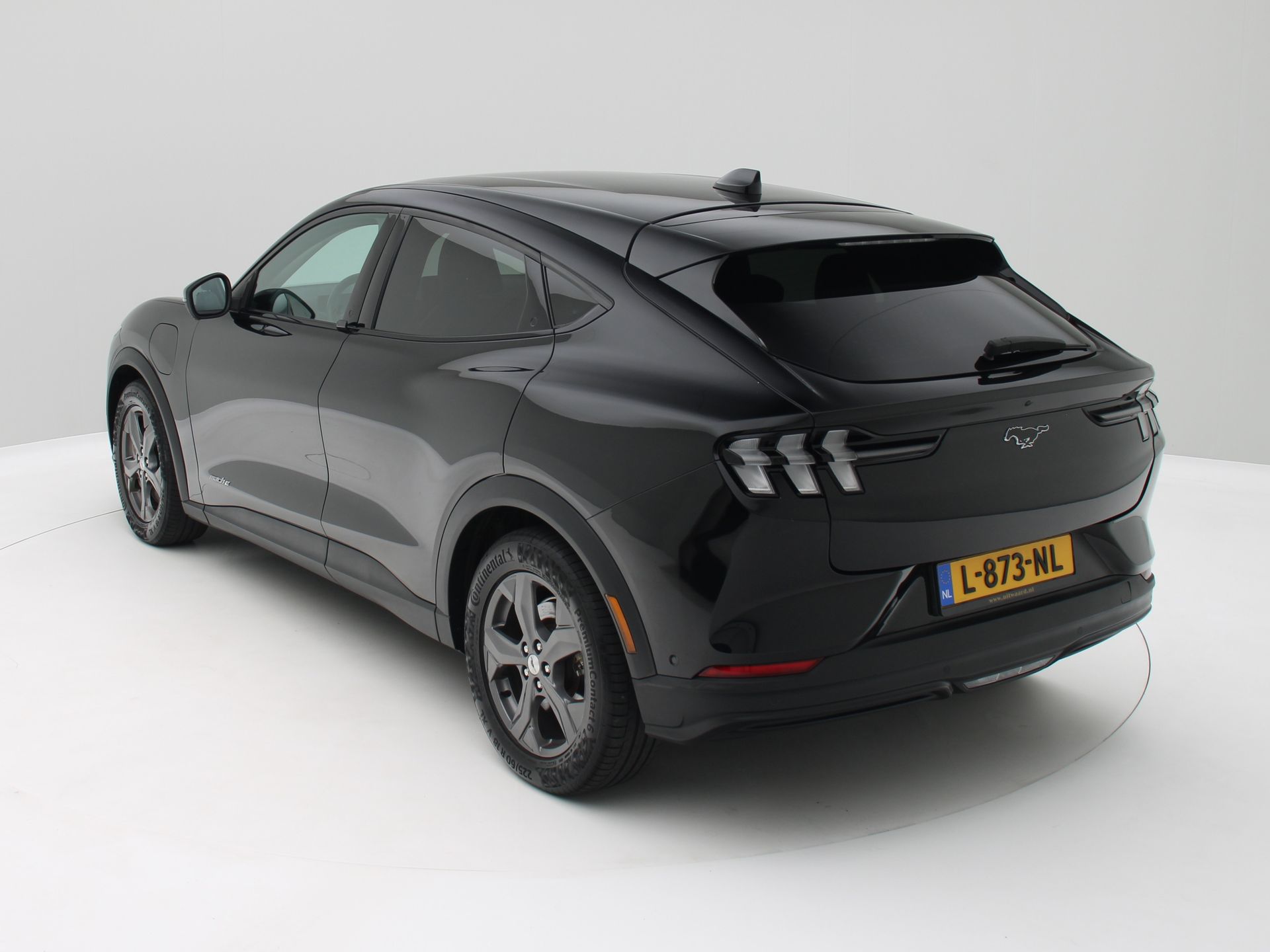 Foto van Ford Mustang Mach-e
