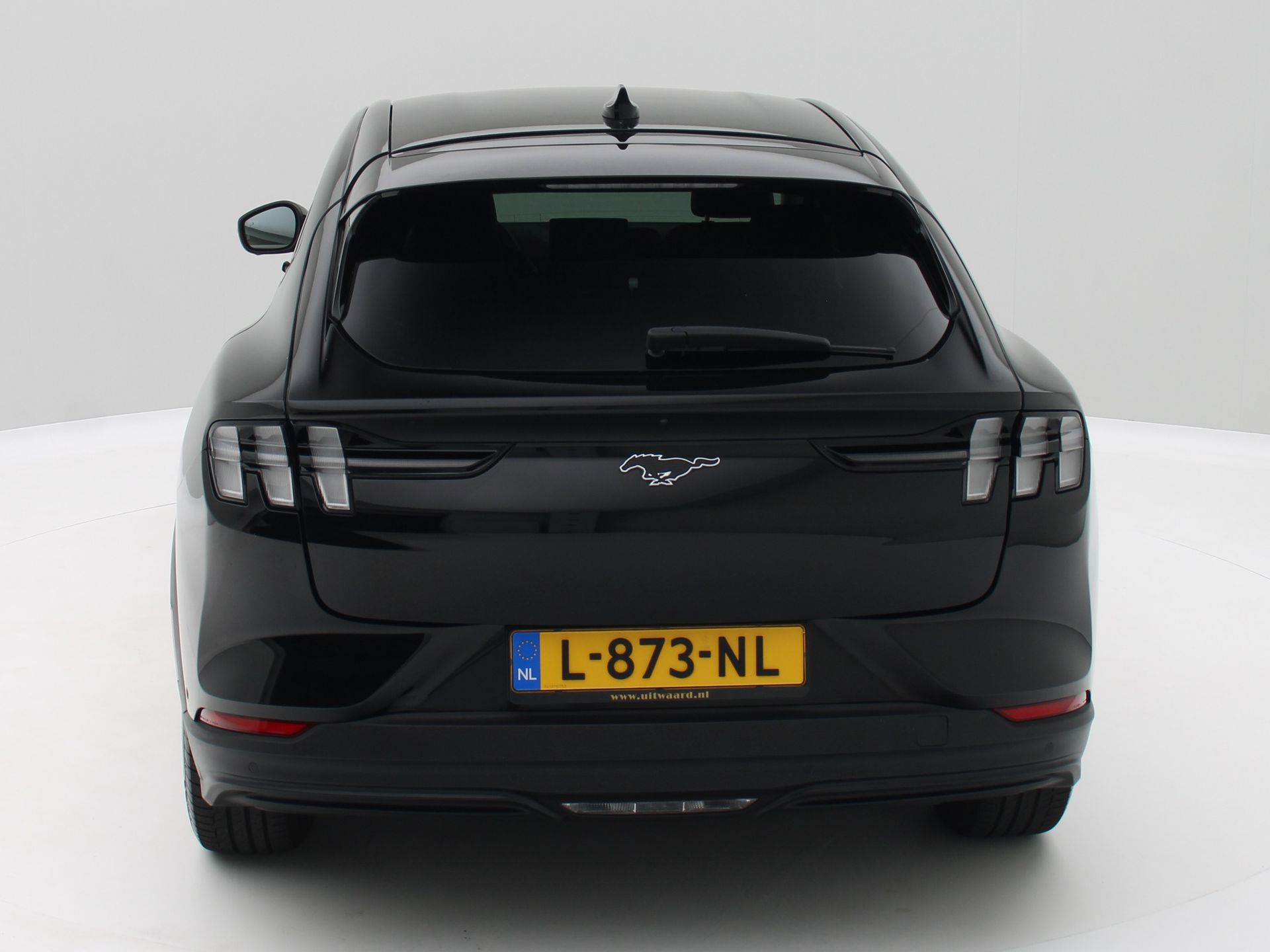 Foto van Ford Mustang Mach-e