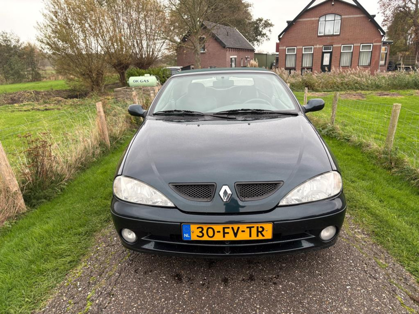 Foto van Renault Megane Cabriolet
